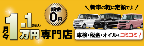 月々1.1万円専門店